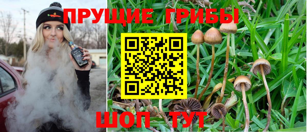 Кубинка  Меф   Амфетамин кристаллы  Вход с VPN  Магазин наркотиков  НБОМе  Марихуана  ЭКСТАЗИ  Cocaine 