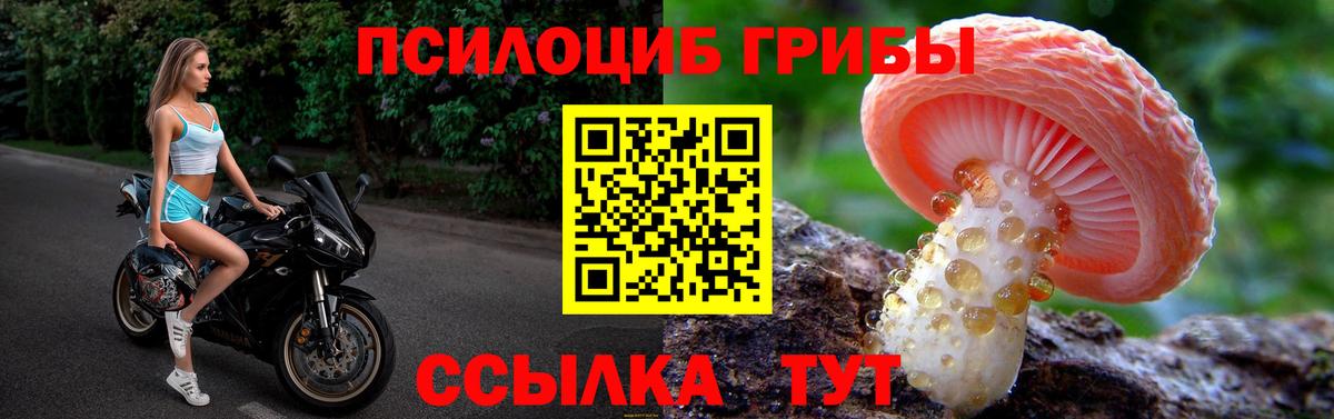 Галлюциногенные грибы мухоморы Кубинка