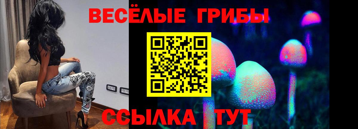 Псилоцибиновые грибы Psilocybe  Вход с VPN  Кубинка 